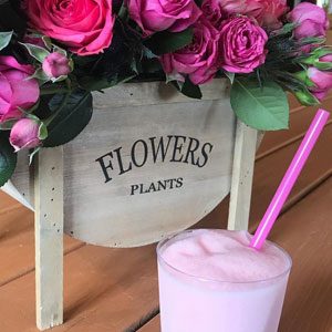 WineSlush Wine Slushie