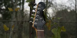 Live Music A guitar handle against grape vines