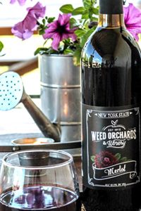 merlot Merlot bottle with deep burgundy zinnia