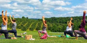 Yoga Yoga