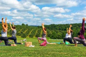 Yoga Yoga