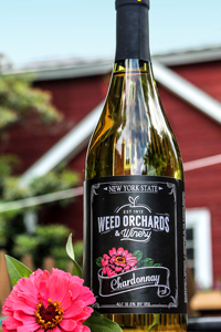 Chardonnay Chardonnay bottle featuring a hot pink zinnia