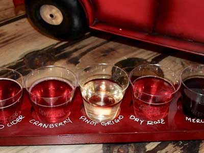 A flight of drinks featuring cranberry, pinot grigio and dry rose