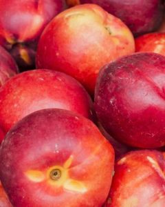 Nectarines background