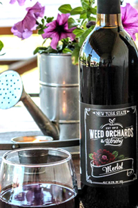 merlot Merlot bottle with deep burgundy zinnia