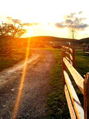 Trail A trail on Weed Orchards with a wood post fence and a setting sun.