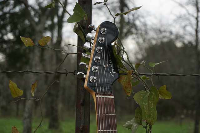 Live Music A guitar handle against grape vines