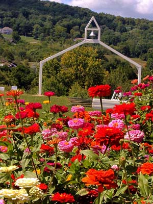 Chapel Weed's zinnia fields with a wooden arch.