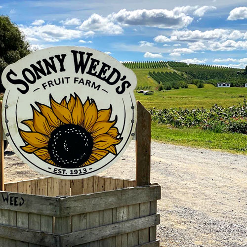 Sonny Weeds Sign