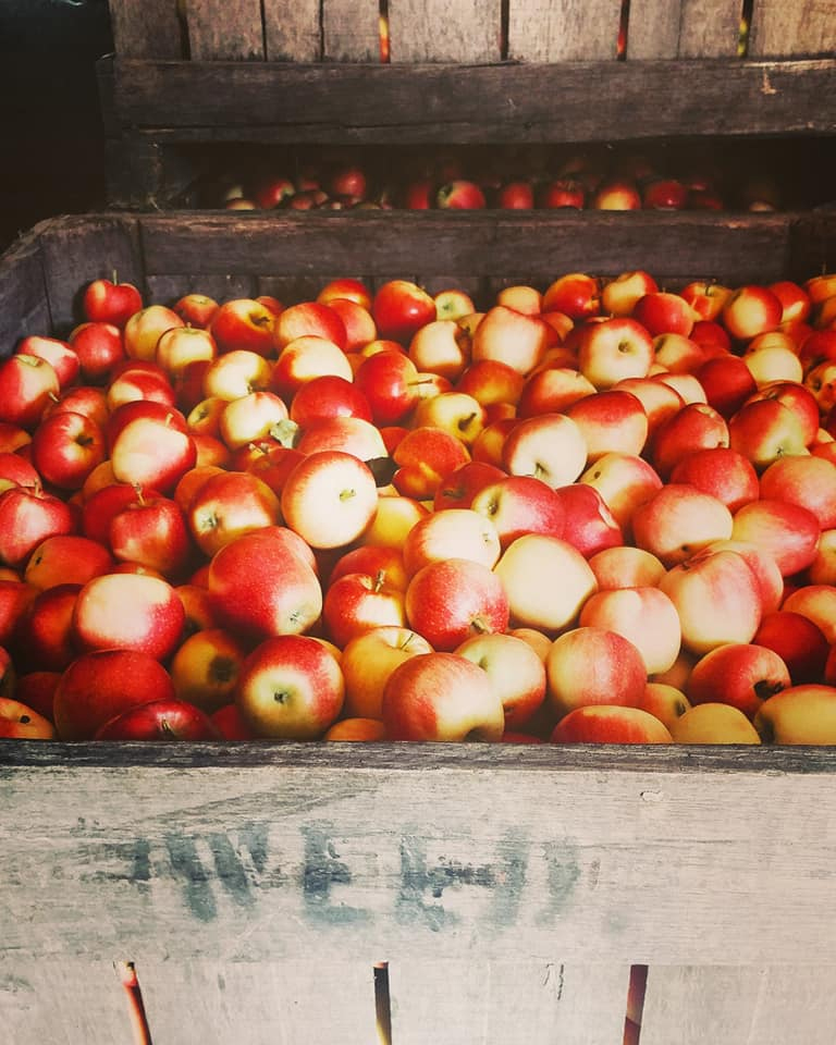 apples-weed-orchards-and-winery