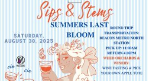 Sips and Stems Summers last bloom