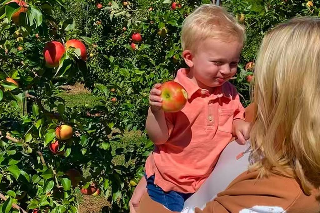 A woman holds her son while picking an apple off a tree