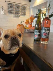 A pug dog sits next to two bottles of Weed's Wine