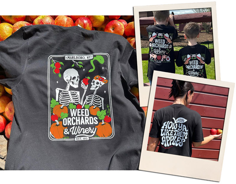A t-shirt featuring skeletons sharing and apple is displayed on a grate of apples. Also depicted are black tshirts with an image of wine glasses and tractors and another saying "How ya like them apples?'