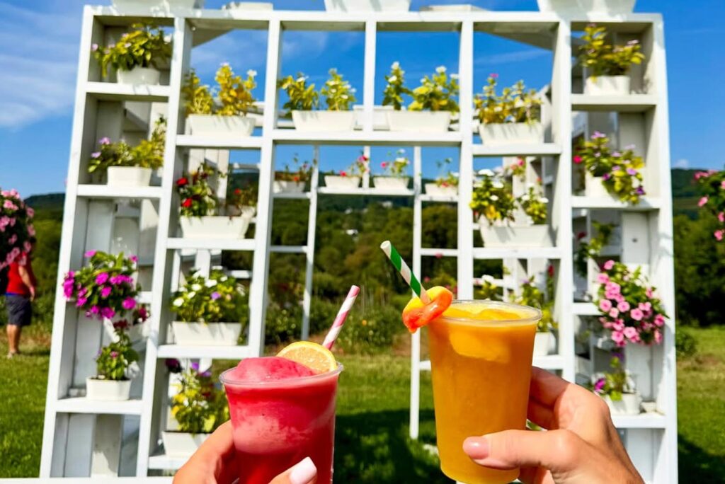 Two hands holding drinks with a trellis of plants in the background.
