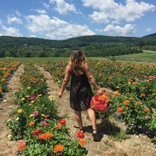 IMG_1755 A girl walking into a field of zinnia flowers