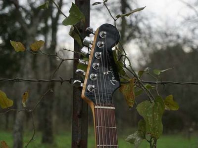 A guitar handle against grape vines